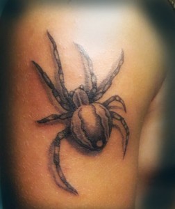 Tatuajes dragones, panteras, lobo etc.. 