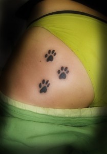 Tatuajes dragones, panteras, lobo etc.. 