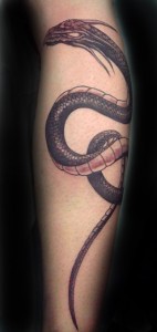 Tatuajes dragones, panteras, lobo etc.. 